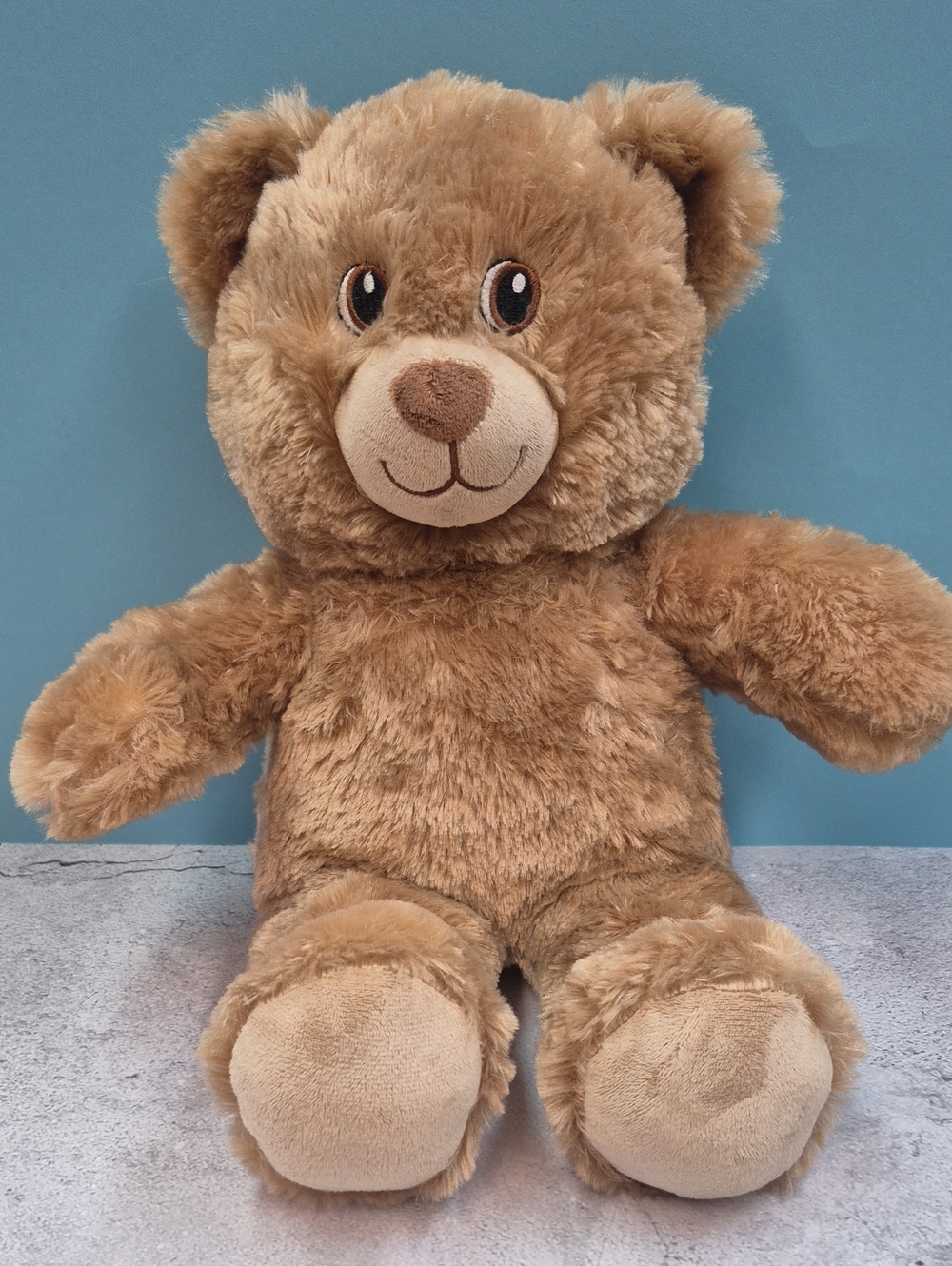 Build-A-Bear Plush Teddy Bear